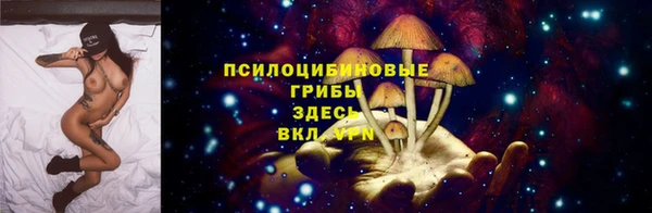 прущая мука Михайлов
