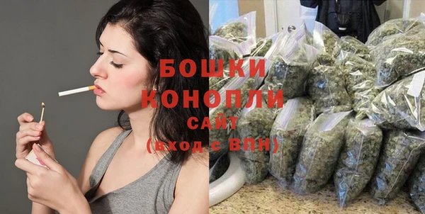 spice Киров