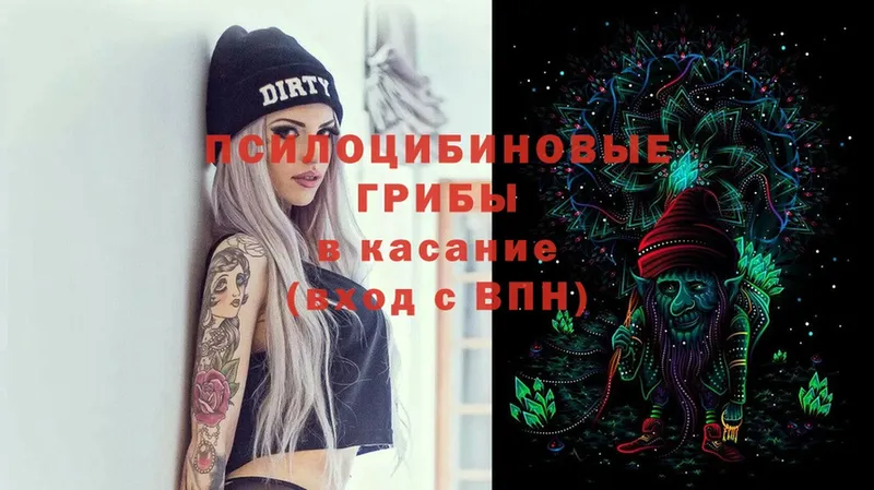 Галлюциногенные грибы MAGIC MUSHROOMS  Емва 