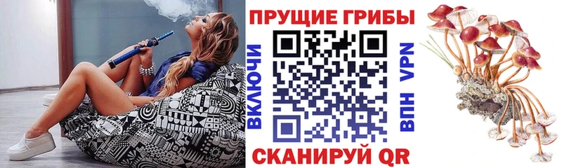 Псилоцибиновые грибы GOLDEN TEACHER  где купить   Емва 