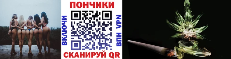 купить наркотик  ОМГ ОМГ ONION  Каннабис THC 21%  Емва 